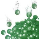 Chlorella