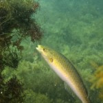 img_5755