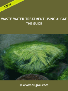 Oilgae Digest