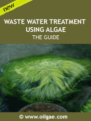 Algae-Based Wastewater Treatment