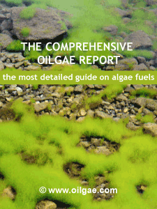 Comprehensive Oilgae Report - A detailed report on all aspects of the algae fuel value chain, the Comprehensive Oilgae Report will be of immense help to those who are on the threshold of investing in algae biofuels.
