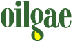 Biodiesel from Algae Oil - Info, Resources, News & Links