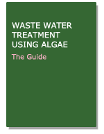 Algae-based Wastewater Treatment