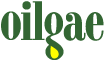 Biodiesel from Algae Oil - Info, Resources, News & Links
