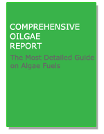 Comprehensive Oilgae Report